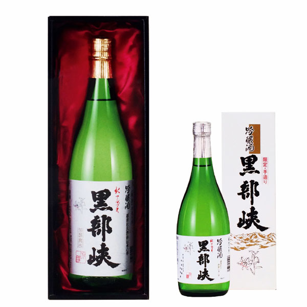 hayashi_G